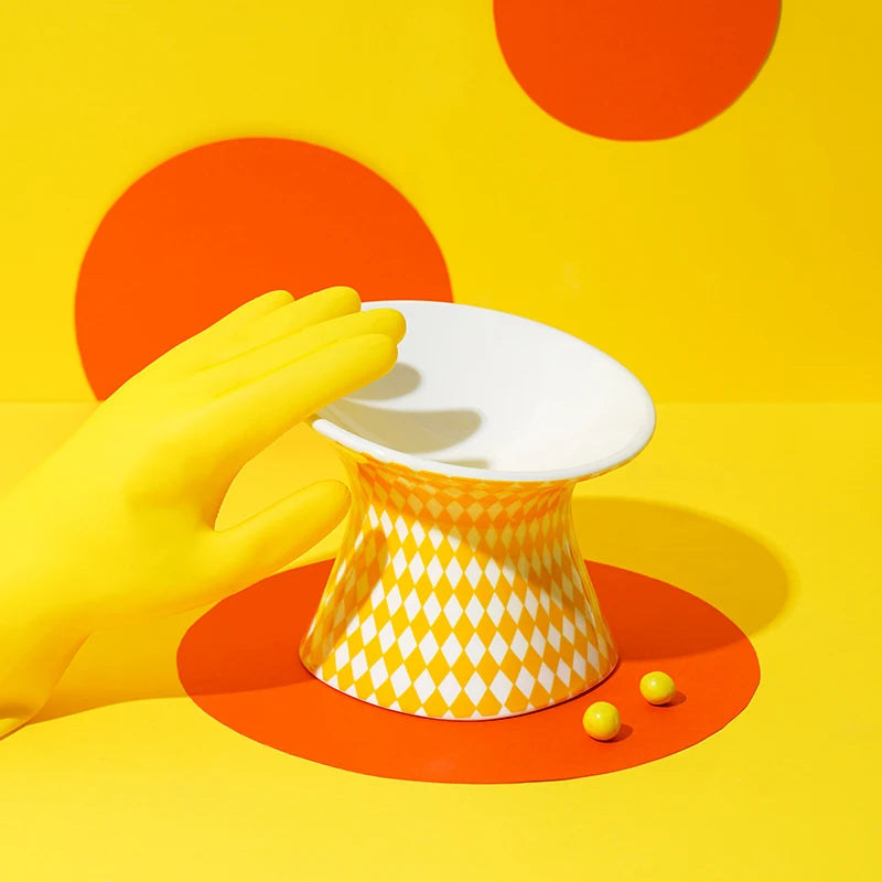 Elevated Ceramic Pet Bowl