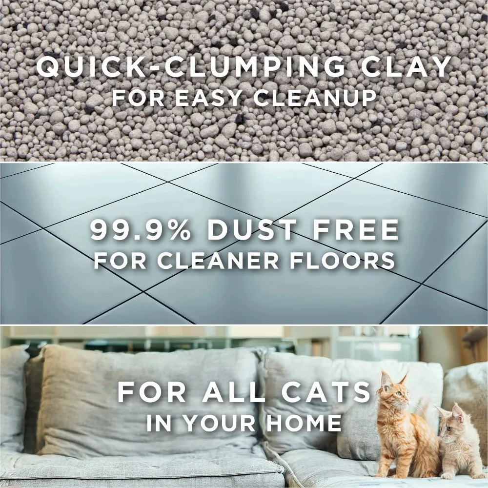 Unscented Clumping Cat Litter | 20 lb | Low Dust, Odor Control for Multi-Cat Homes