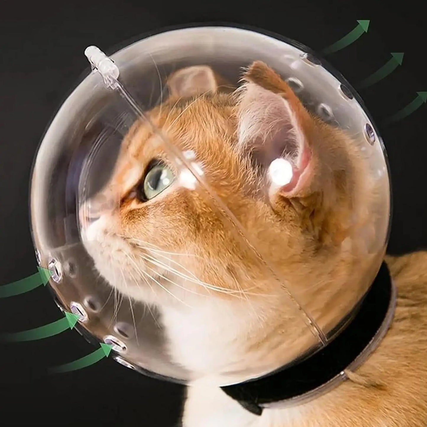 Breathable Bubble Cat Muzzle — Transparent Grooming Helmet for Cats & Small Dogs