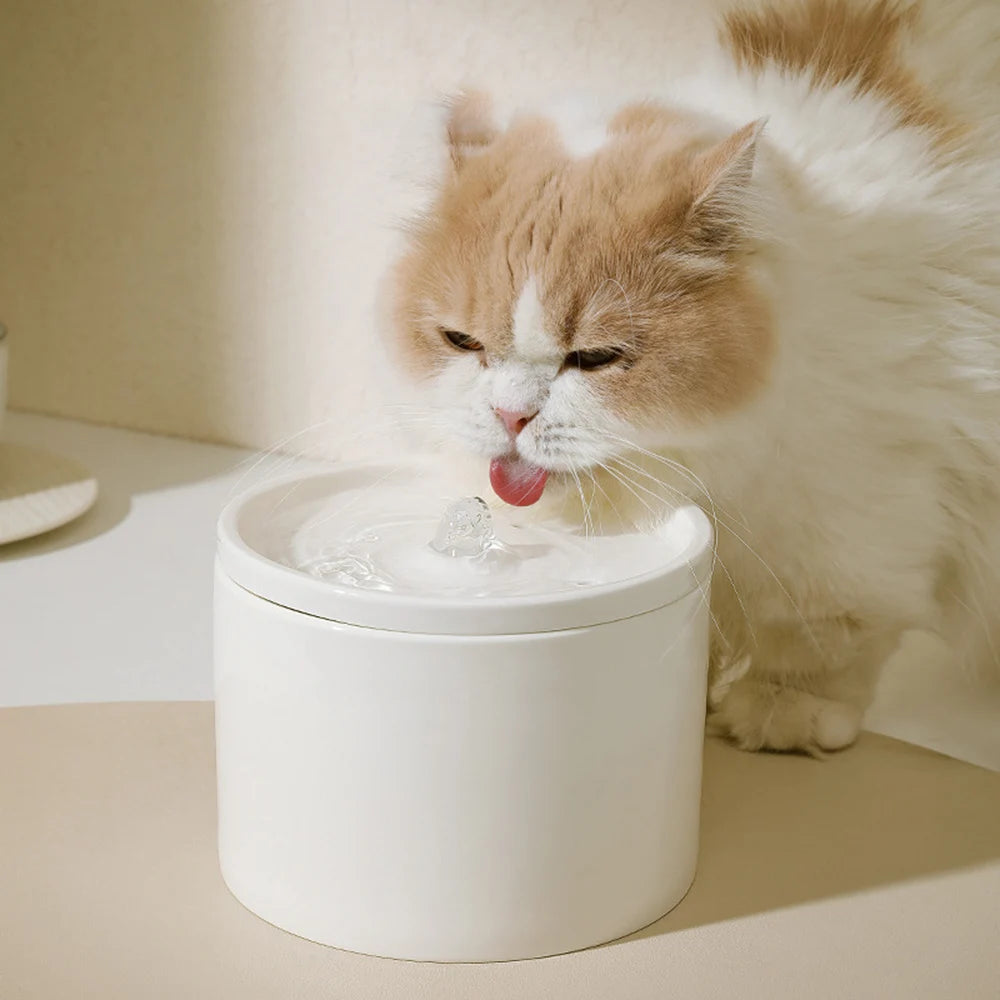 Automatic Cat Water Dispenser with цирculation Flow System and Premium Ceramic Drinking Bowl for Cats