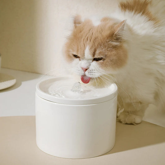 Automatic Cat Water Dispenser with цирculation Flow System and Premium Ceramic Drinking Bowl for Cats