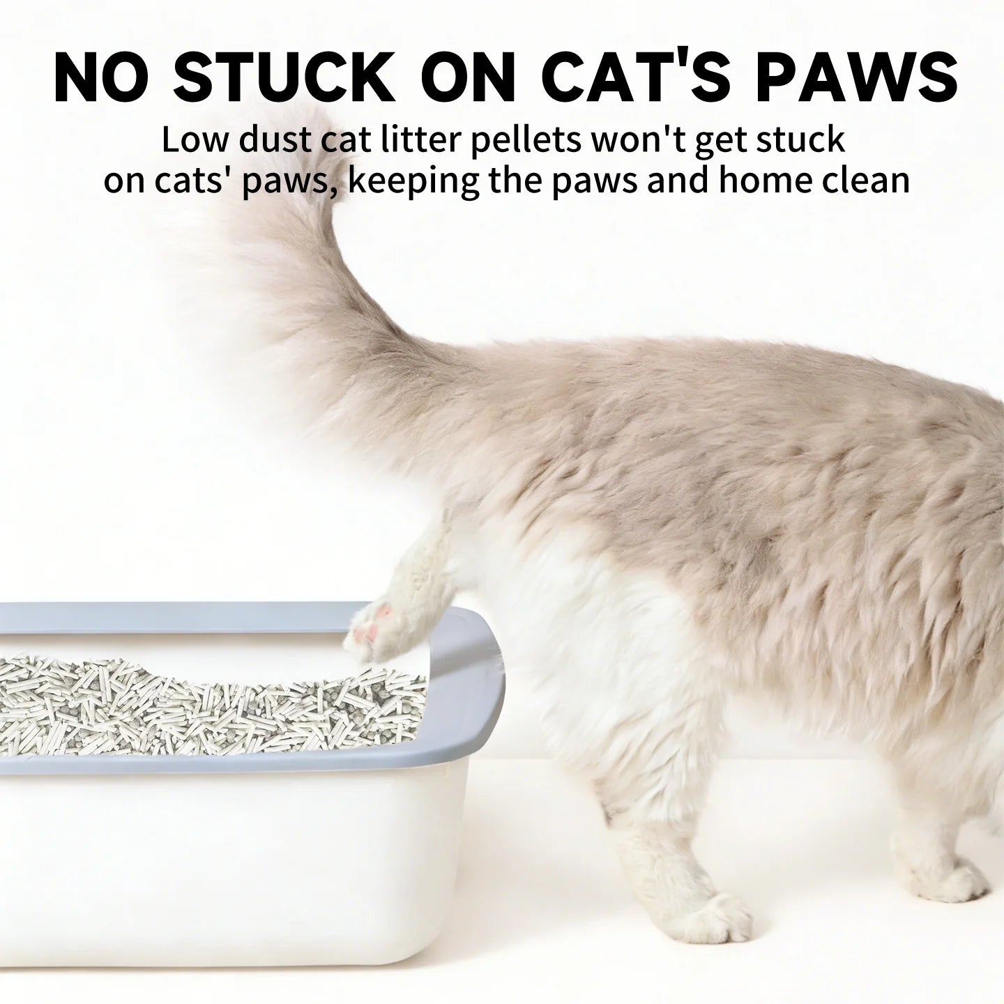Tofu & Clay Blended Cat Litter | 2.4 kg | Fast Clumping, Deep Odor Control