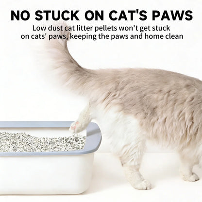 Tofu & Clay Blended Cat Litter | 2.4 kg | Fast Clumping, Deep Odor Control