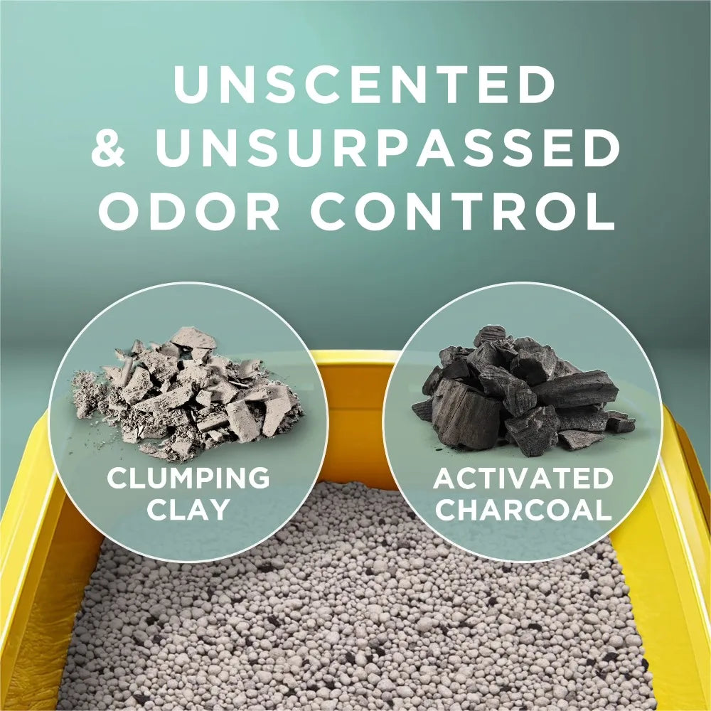 Unscented Clumping Cat Litter | 20 lb | Low Dust, Odor Control for Multi-Cat Homes