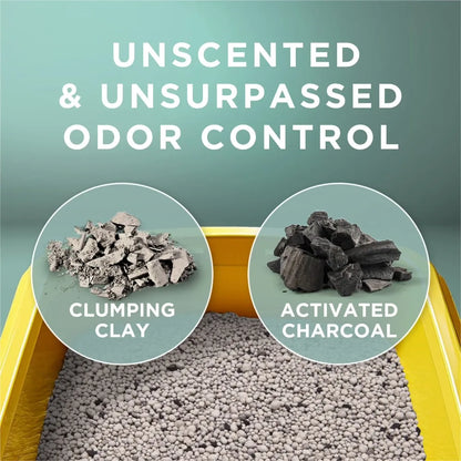 Unscented Clumping Cat Litter | 20 lb | Low Dust, Odor Control for Multi-Cat Homes